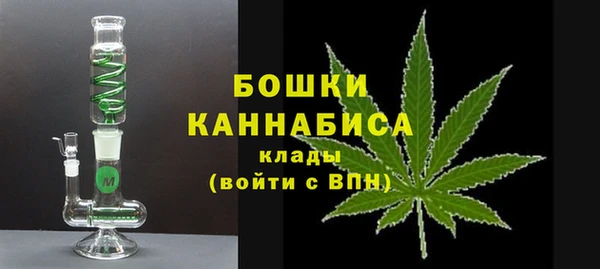 прущие грибы Вязники